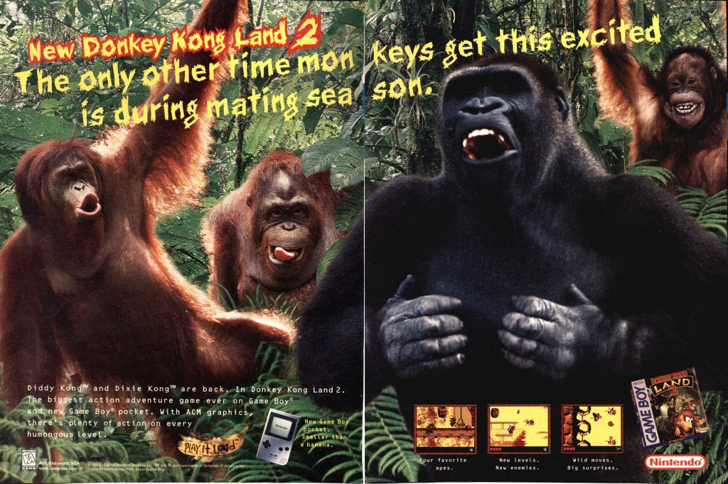Donkey-Kong-Land-2-1-1024x682.jpg
